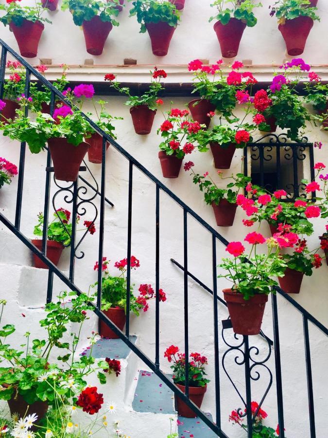 Ribera Del Quivir Apartment Cordoba Luaran gambar